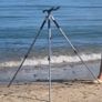 Fishing rods+ tripod Image 4