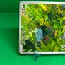Bulbasaur 166/165 Image 4