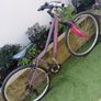 girls bike Image 2