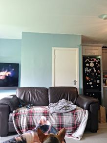 free leather  sofa