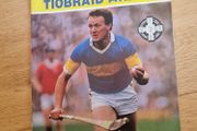 1987 All-Ireland Senior Hurling Championship Semi-Final