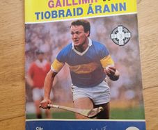 1987 All-Ireland Senior Hurling Championship Semi-Final