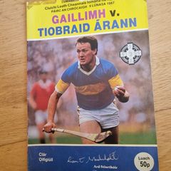 1987 All-Ireland Senior Hurling Championship Semi-Final