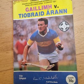 1987 All-Ireland Senior Hurling Championship Semi-Final