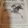 Our irish horses 1980's Image 3