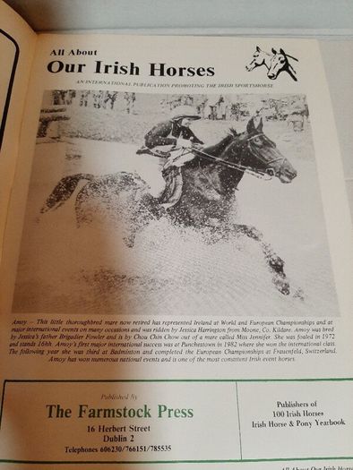 Our irish horses 1980's