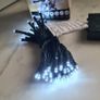 50 LED chain White Lights Image 3