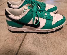 Genuine Nike Dunks size 7
