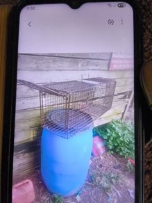 cage trap