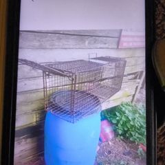 cage trap