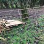 Farm Gate Image 4