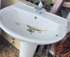 Bathroom sink and toilet