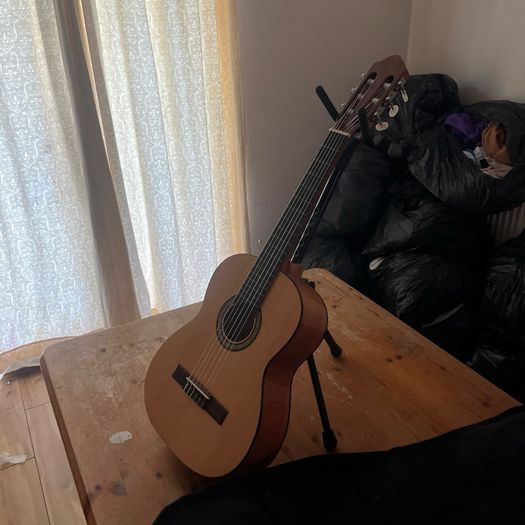 Guitars