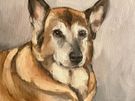 Pet Portrait Commissions Image 3