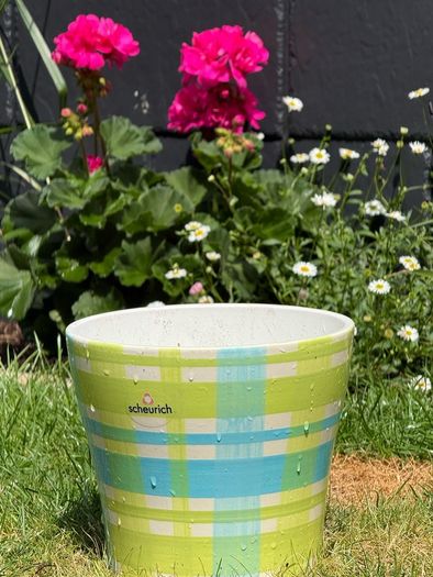 ceramic plant pot(s)