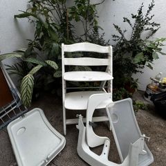 Hauck Alpha+ Wooden Highchair for Children from 6 Months to 90 kg-Includes 5-Point Strap, Protective Bar-Compatible with