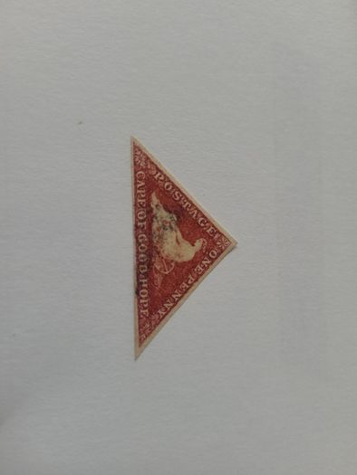 Cape Of Good Hope 1853 One Penny Pale Brick-red