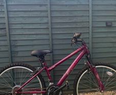 Mountain bike