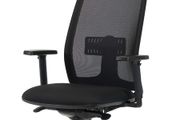 Lira High Back Swivel Mesh Chair with adjustable arms - Black