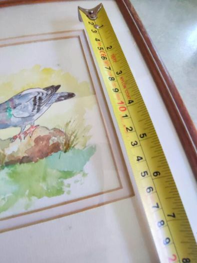 Lovely Framed Watercolor Painting Signed C. Collins .