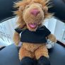 teddy bear Image 2