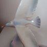 Hollohaza porcelain bird / 1979- 1985 Date Mark, Image 7
