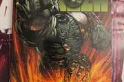 World War Hulk