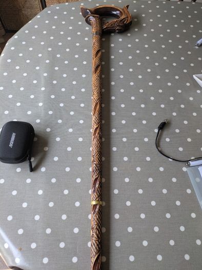 Walking stick