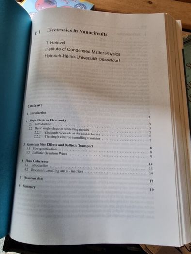 Magnetism goes Nano: Electron Correlations, Spin Transport, Molecular Magnetism... (gebundene Ausgabe