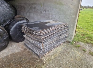 Mayo Mats