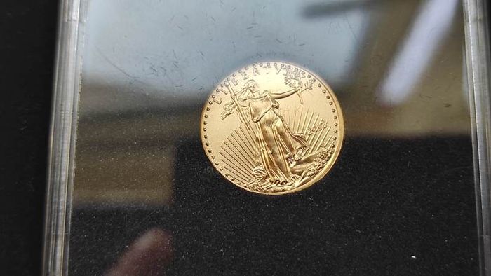Double gold coins set
