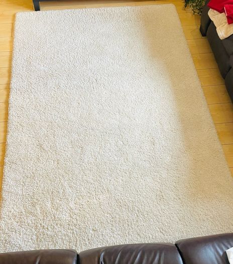Move Sale Cream Rug 160x230cm JVC Smart TV & TV Bench