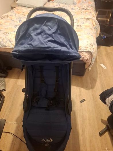 travel buggy