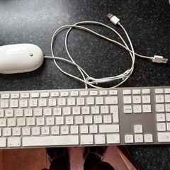 Apple Keyboard and Mouse (USB)