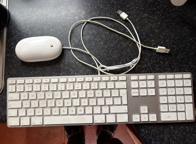 Apple Keyboard and Mouse (USB)