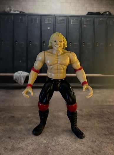 Jakks WWF Wrestling figures WWE ECW BCA