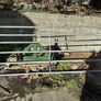 10ft farm gates x2 Image 3