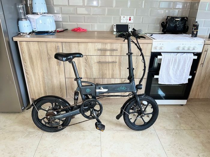 Fiido Folding Electric Bike