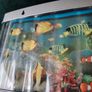 Artificial Fish Aquarium Decorative Lamp Image 7