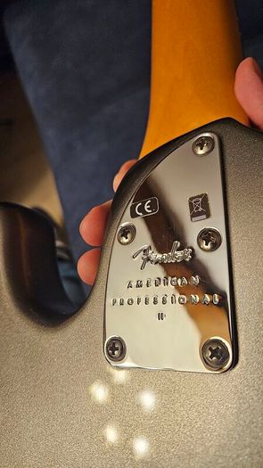 Fender American Professional II Precision Bass