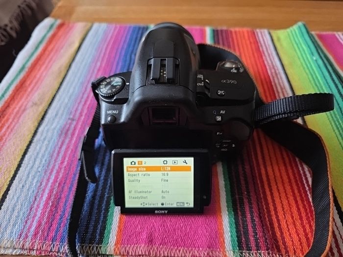 Sony A390