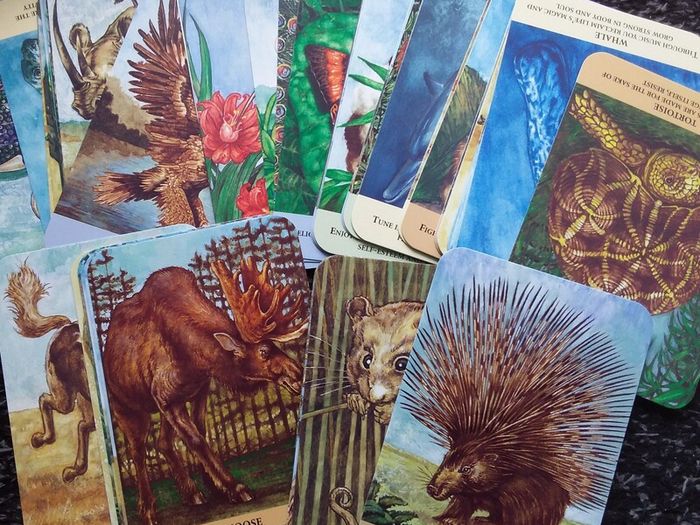 Animal Messages - Tarot/Oracle Cards