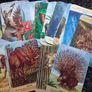 Animal Messages - Tarot/Oracle Cards Image 3