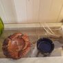 Vintage Ashtrays Image 4