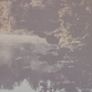 picture Image 3