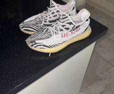 Zebra Yeezy 350