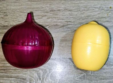 Food saver container