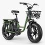 FIIDO T1 pro v2 upgraded Cargo Electric Bike Image 3