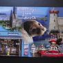 Lot of 10 new Irish postcards. 'Greetings from Howth' Image 2