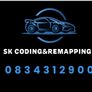 SK coding & remapping Ecu work Image 3